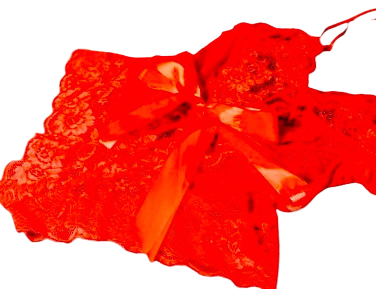 Red Lace Teddy **gift box included**