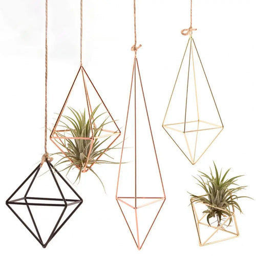 Air Plant Holder Rot-resistant Air Plant Display Rack Geometric Glass Terrarium Propagation Station with Iron Stand for Home